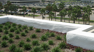 Green Roof Project