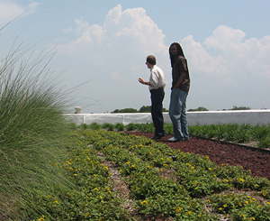 Checking out the rooftop